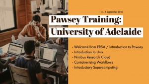 Pawsey-Training